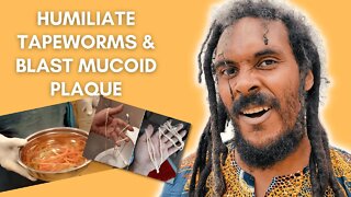 How To Get the Healthy Life You Want - Humiliate Tapeworms & Blast Mucoid Plaque (Most PROVEN Tips)