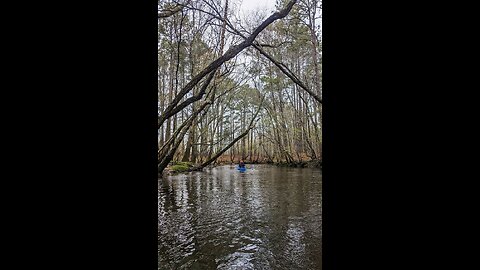 Exploratory Paddle, Upper Little River to Cape Fear River