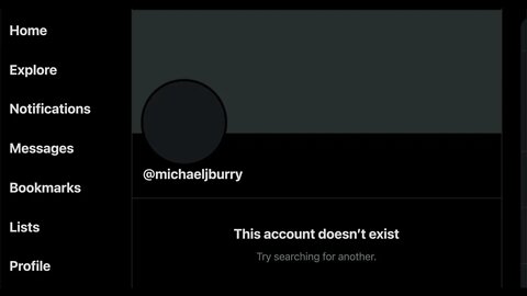 The Big Short Michael Burry DELETES Twitter Account!