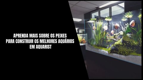 Aquário Aquarist Já pode ser Colocado em sua Lista de Desejos na Steam