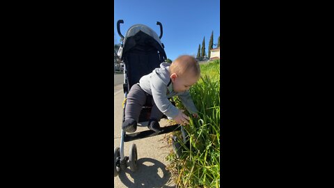 Baby excited touching grass