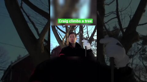 Craig vs Wild 🏔 #kyledunnigan #comedy #craig #survialtips #fyp