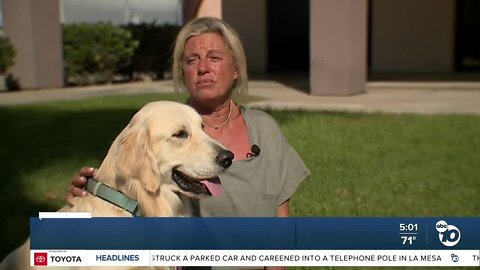 Encinitas woman reunited with golden retriever weeks after dognapping