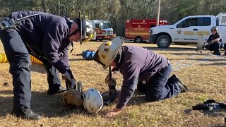 Firefighters rescue stranded dog at the bottom of a deep hole