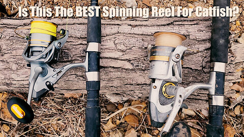 Is This The Best Catfish Spinning Reel? I Review The Okuma Avenger