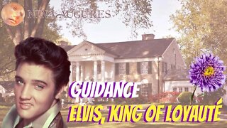 Elvis, King of loyauté 01/07/2022