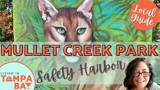 Mullet Creek Park in Safety Harbor, Florida | A Cinematic Video Tour