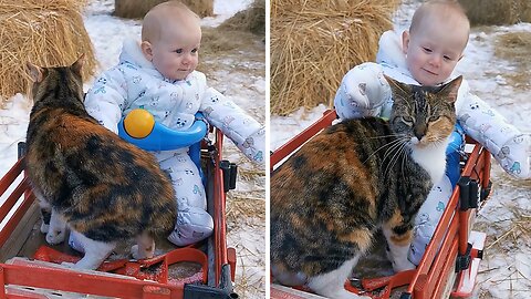 Baby And Cat Share Adorable Friendship Together