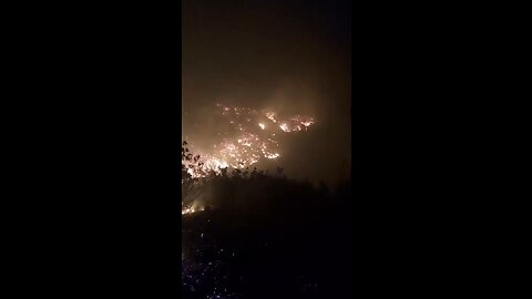 Forest fire in the Deir Osman region, in the Darkush region, west of Idlib, Syria #syria #forestfire