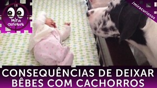 Pais deixam seu bebê com o cachorro. Quando retornam, eles os encontram assim