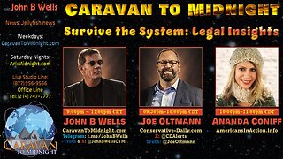 Survive the System: Legal Insights - John B Wells LIVE