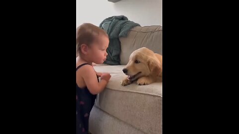 the kid kissing a dog