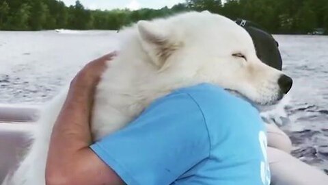 Animals showing true and unconditional love to human - cute animal video😍😂