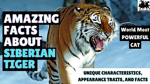 Amazing Facts About Siberian Tigers | World Most Powerful Cats | Siberian Tiger Facts, Traits