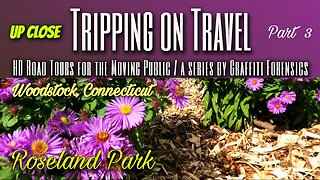 Tripping on Travel: Roseland Park 3, Woodstock, CT