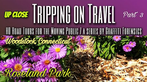 Tripping on Travel: Roseland Park 3, Woodstock, CT