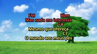 de que vale ter tudo na vida karaoke playback instrumental