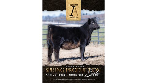 Ingram Angus 2023 Spring Production Sale Catalog, Lynnville, Tennessee
