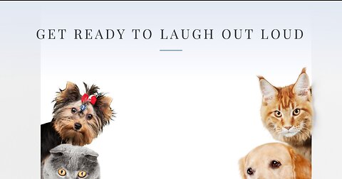 When Cats and Dogs Collide A Recipe for Laughter!