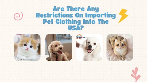 Are There Any Restrictions on Importing Pet Clothing Into the USA?