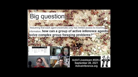 ActInf Livestream #029.2 ~ “Active Inferants: An Active Inference Framework for Ant Colony Behavior