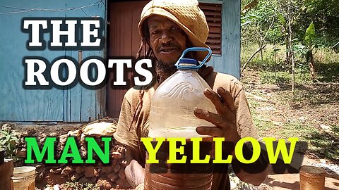 FOR YOUR ORGANIC ROOTS TONIC CHECK YELLOW | WATCH WHAT HAPPENED