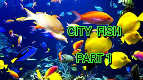 CITY FISH