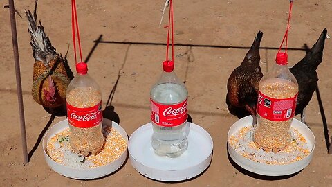 How to make a drinker and feeder for chickens with recycled coke bottles.