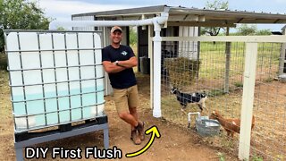 Rainwater Harvesting For the Goats - With DIY First Flush