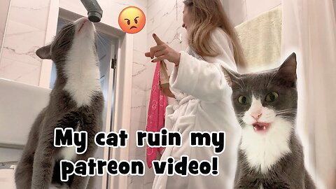 My cat ruined my patreon video! ASMR cat purring