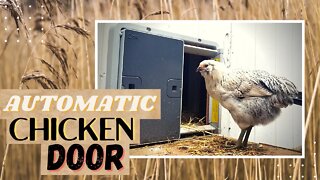 Automatic Chicken Coop Door | Automatic Chicken Door | Omlet Auto Door