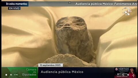Mexican Congress Just Showed Alien Bodies On A Live Hearing!