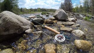 Spring Trout Fishing