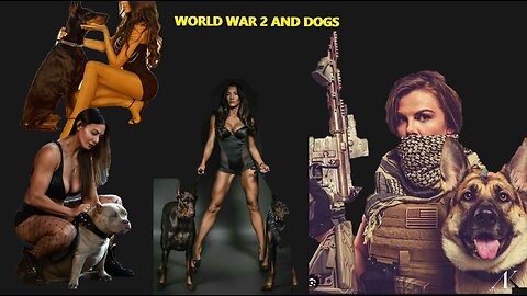 World War 2 War Dogs War Dogs