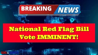 BREAKING NEWS: National Red Flag Bill VOTE IMMINENT!!!