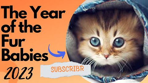 Cats and Dogs in 2023: The Year of the Fur Babies