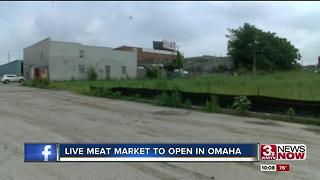 Live meat market could open late fall