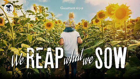 #657 // WE REAP WHAT WE SOW - OPTIMIZED