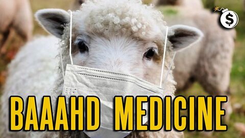 VACCINE VENDETTA: The Sheep Being Led to the Slaughter