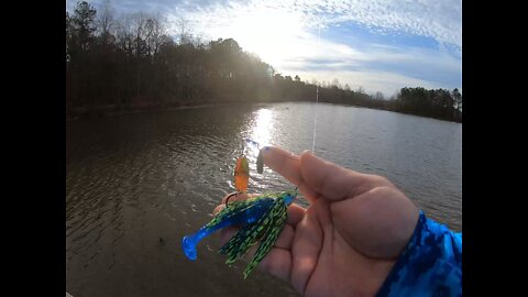Perfect day for a spinner bait!