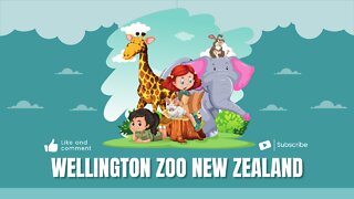 Wellington Zoo New Zealand