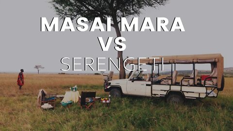 Masai Mara vs Serengeti: Which Park Do We Recommend For First-Time Visitors to Africa?