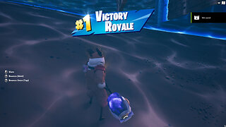 Fortnite - Funny win🏆😂🎮