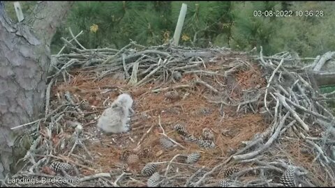 Mom's Late-Morning Break 🦉 3/8/22 10:35