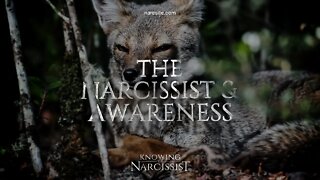 The Narcissist and Awareness