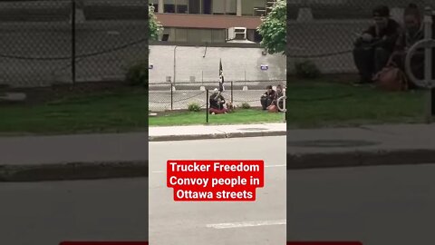 #freedomconvoy2022 supporters just hanging out in a micro-protest in Ottawa? What's going on?