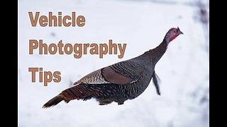 Nature Photography - Tips for Shooting From Your Vehicle