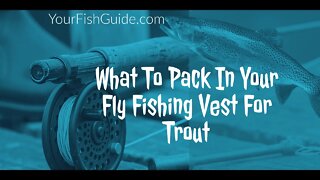 This Is What Your Need To Pack In Your Fly Fishing Vest For Trout: A MUST WATCH