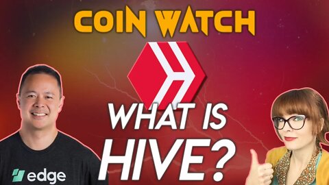 What is HIVE?