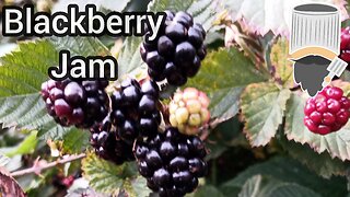 Super easy recipe for homemade blackberry jam